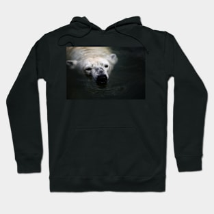 Ice bear swimming Hoodie